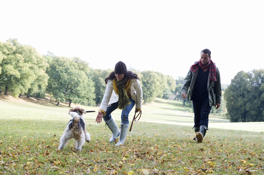Flytta med hund, kvinna och man leker med flyttad hund.